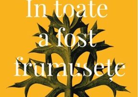 În toate a fost frumusețe