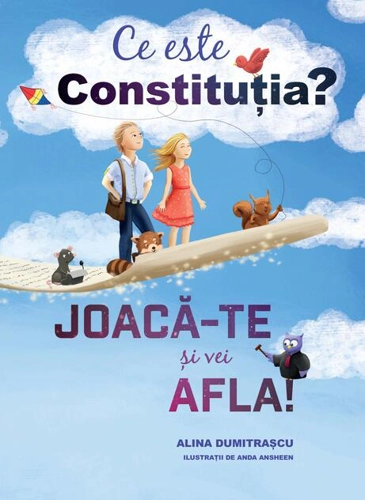 Ce este constituția?