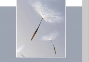 Revărsare de grație