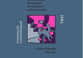 Prinde-i înainte de a cădea. Noi abordări în tratamentul prăbușirii psihice