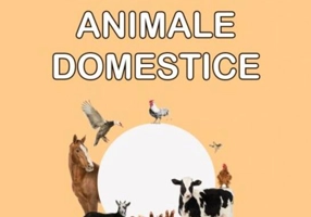 Animale domestice. Sunt mic și vreau să aflu
