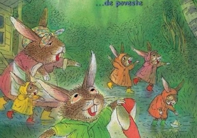 Nicky și o zi ploioasă ...de poveste