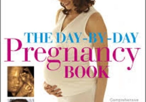 The Day-by-day Pregnancy Book