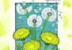 Cele mai mari 5 regrete ale persoanelor aflate în pragul morţii