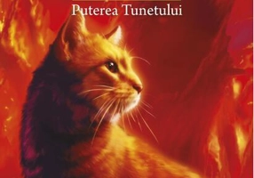Puterea tunetului (Vol.26)