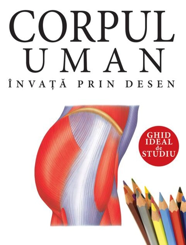 Corpul uman