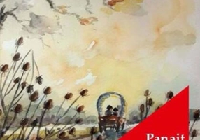 Ciulinii Bărăganului