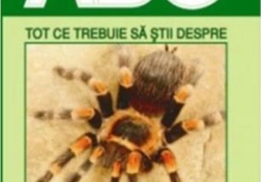 Tot ce trebuie să știi despre păianjeni