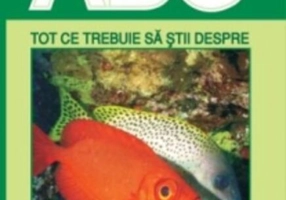 Tot ce trebuie să știi despre pești