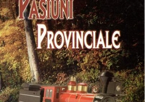 Pasiuni Provinciale (RESIGILAT)