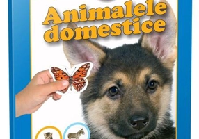 Animale domestice