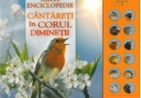 Cântăreți în corul dimineții