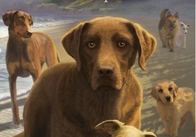 Umbrele pădurii. Supravieţuitorii (Vol. 9)