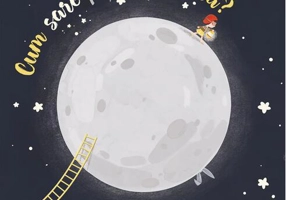 Cum sare piper pe Lună?