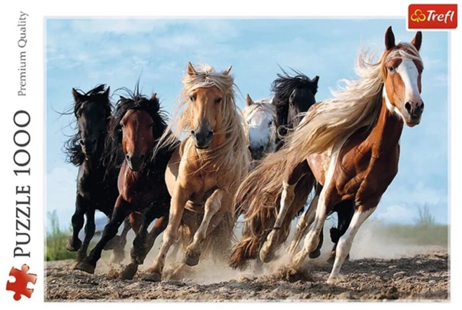 Puzzle 1000 piese „Cai la galop”