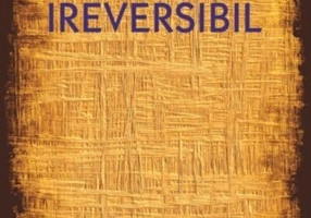 Ireversibil