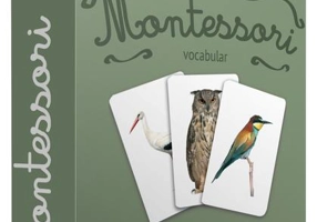 Păsări din România. Cărţi de joc Montessori
