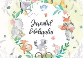 Jurnalul bebelușului. Primii doi ani de viață