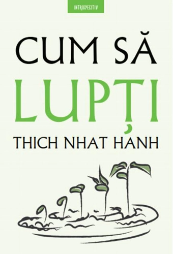 Cum să lupți (Vol. 6)