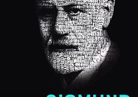 Viața mea și psihanaliza