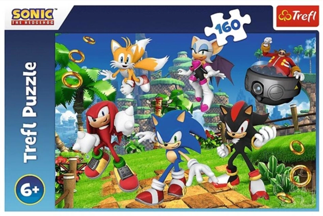 Puzzle 160 piese „Sonic și prietenii”