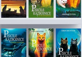 Pachet Pisicile războinice