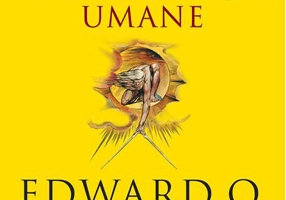 Originile creativității umane