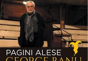 Studii. Pagini alese (Vol. 2)