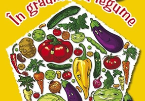 În grădina cu legume 4-5 ani