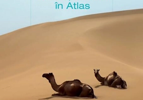 Trei săptămâni în Atlas