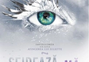 Sfidează-mă (Vol. 5)