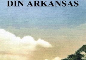 Campionul din Arkansas
