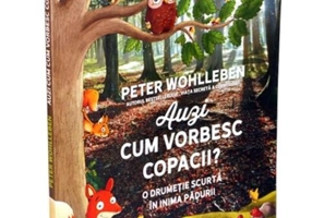 Auzi cum vorbesc copacii?