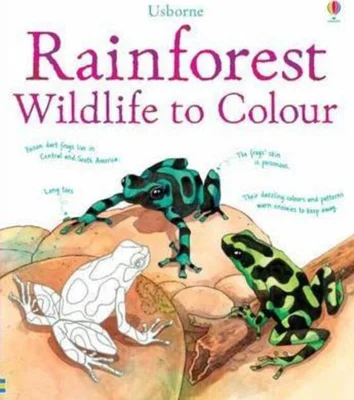 Rainforest Wildlife to Colour