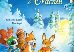 Andrei și luminițele de Crăciun