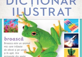 Primul meu dicționar ilustrat