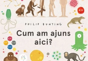 Cum am ajuns aici?