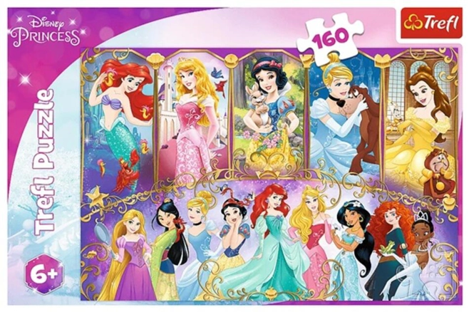 Puzzle 160 piese „Portretele prințeselor”