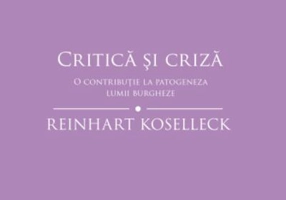 Critică și criză