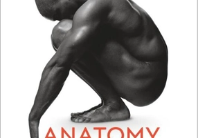 Anatomy for the Artist