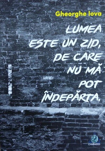 Lumea este un zid de care nu mă pot îndepărta