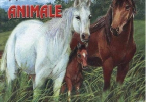 Familii de animale (pliant)