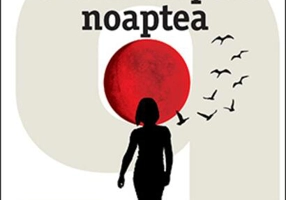 S-a întâmplat noaptea. Grupul 9 (vol. 1)