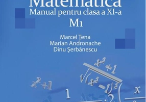 Matematică M1. Manual Clasa a XI-a