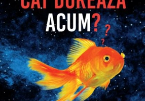 Cât durează acum?