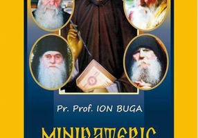 Minipateric contemporan