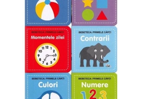 Bebe învață. Set educativ 6 cărți + 6 cuburi