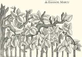 Viața domnului Leguat