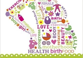 Pregnancy The Beginner's Guide