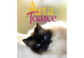 Pisica lui Dalai Lama și arta de a toarce